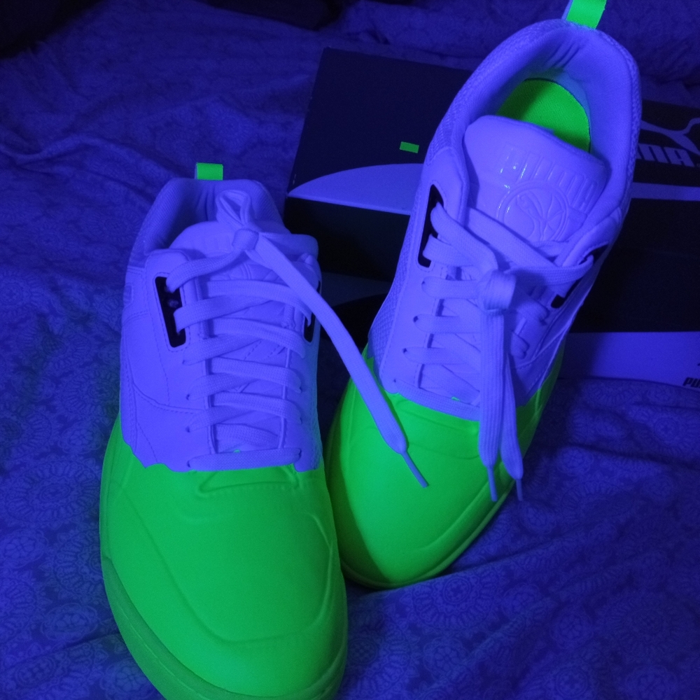 Puma Palace guards